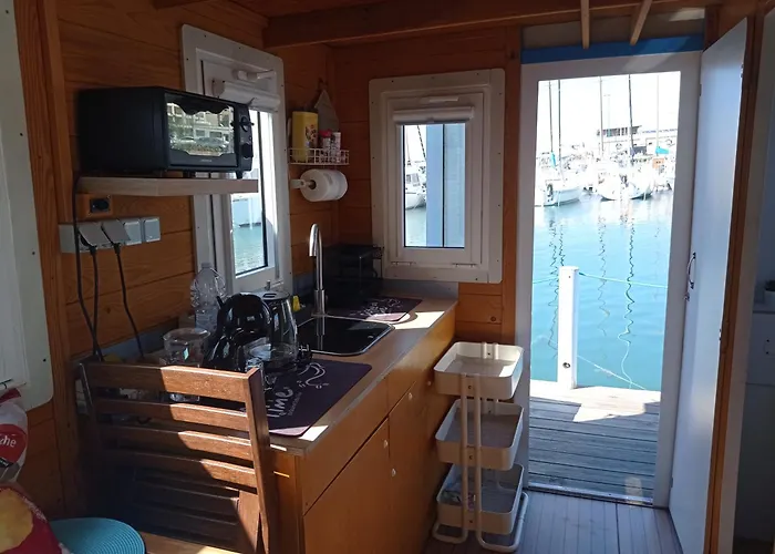 Houseboat Bluseadream Dolphin 2