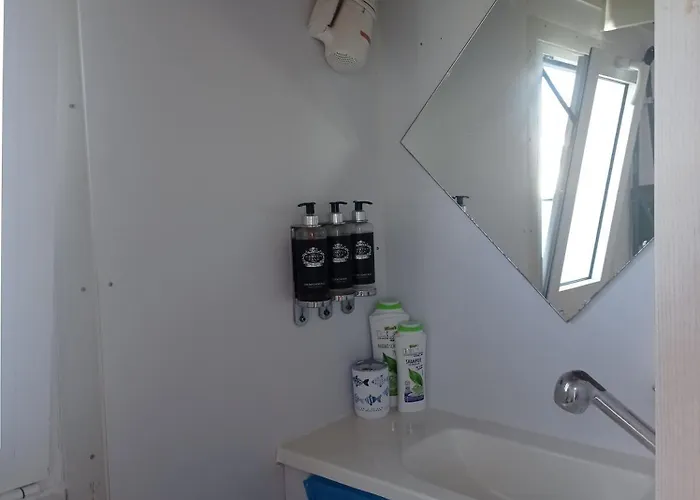 Houseboat Bluseadream Dolphin 2 بوتيل *