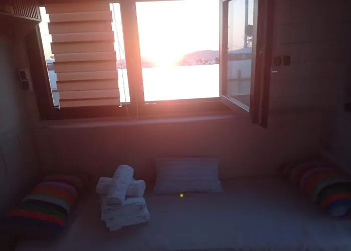 Houseboat Bluseadream Dolphin 2 *